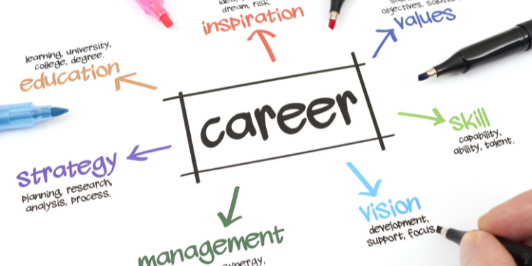 Finding Your Career Path: Reflections and Guidance for Recent Graduates