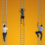 Understanding Corporate Hierarchies: Climbing the Career Ladder